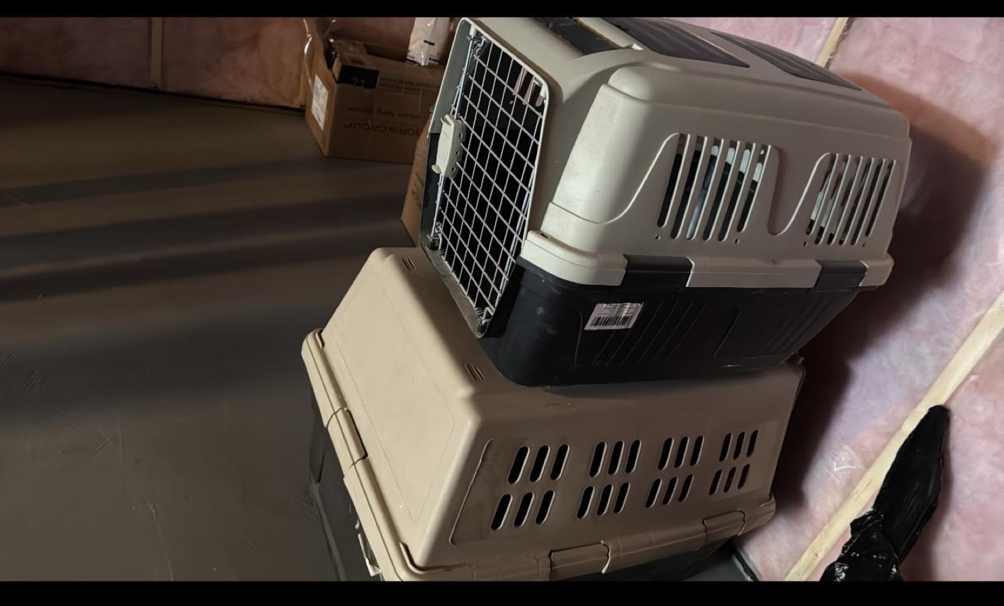 Two Pet Carriers medium and Xl - photo 2