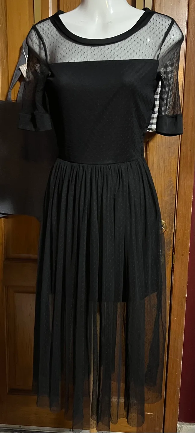 Black Sheer Dotted Mesh Dress - Size small image indicator(2)