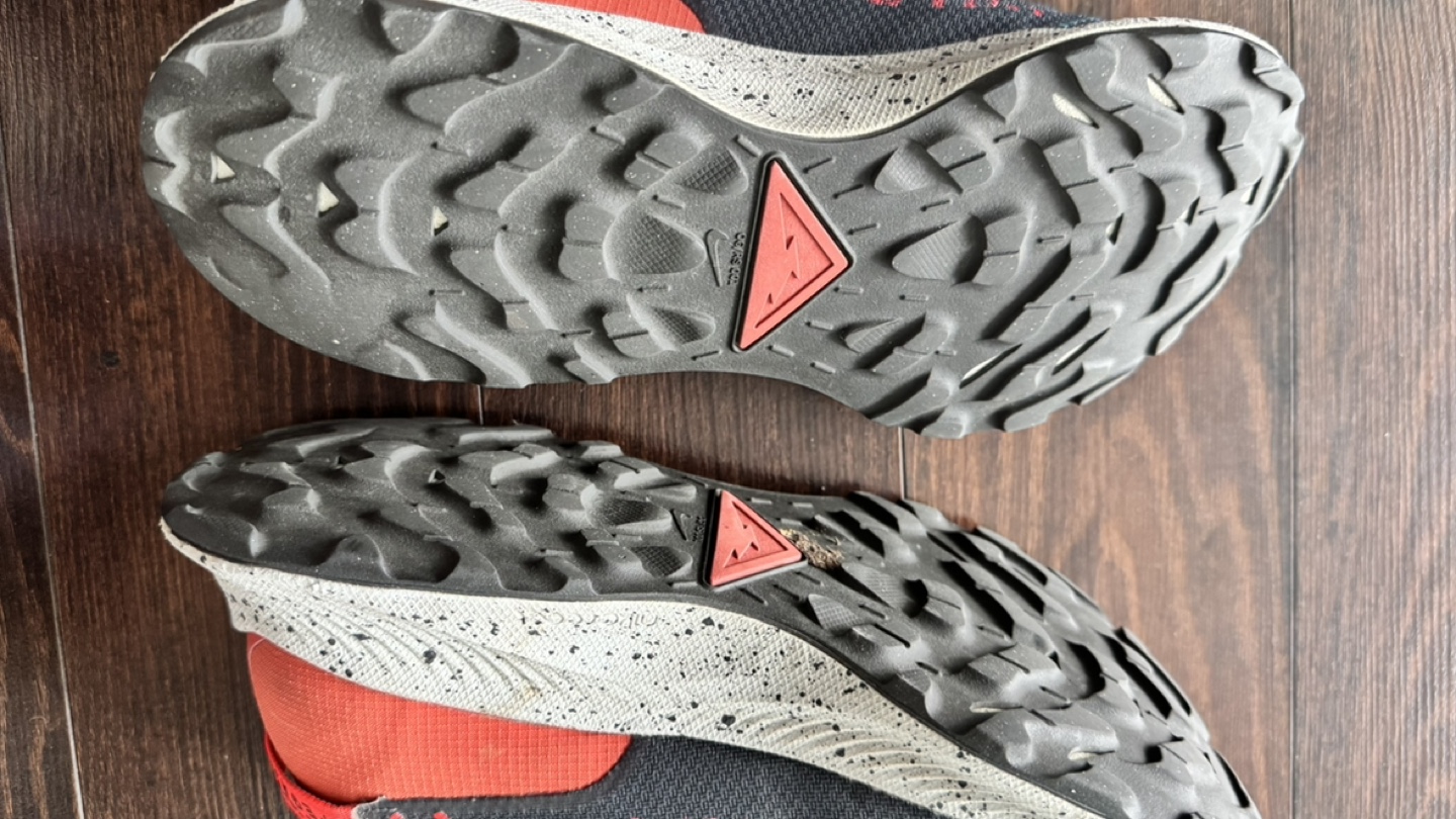 🥕 Trail Pegasus GTX #freecycle - photo 3