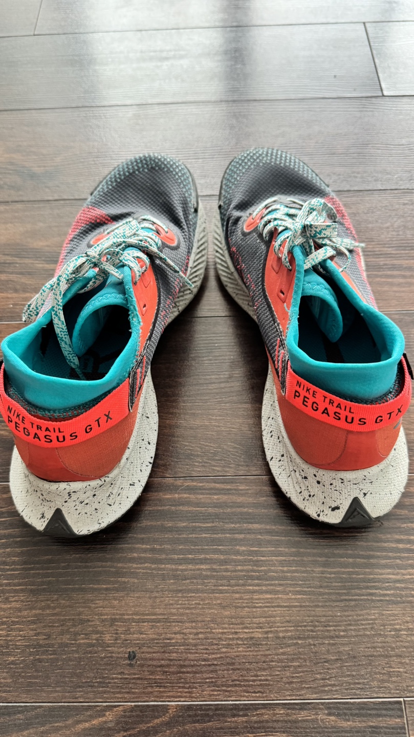 🥕 Trail Pegasus GTX #freecycle