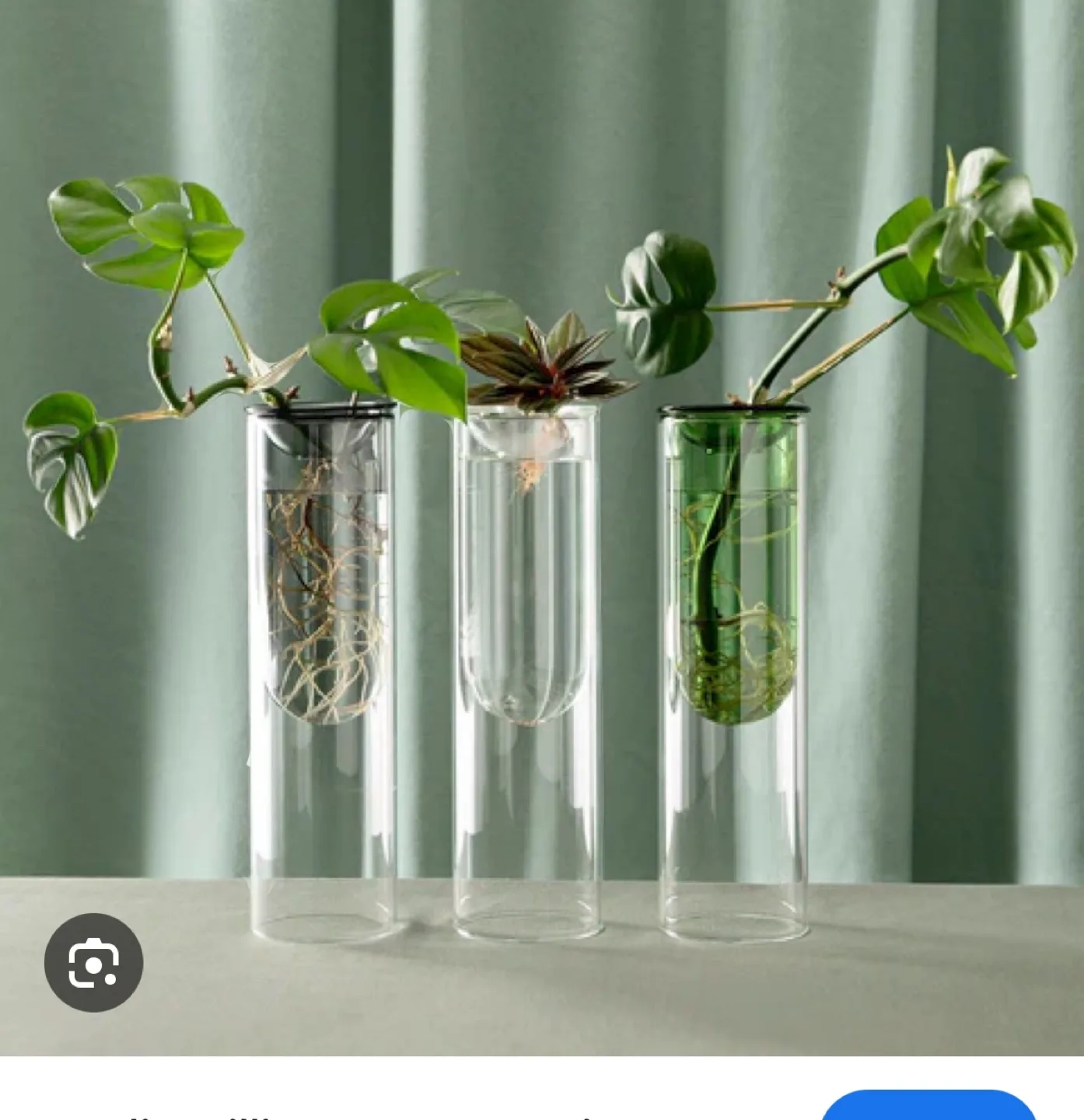 Set of 3 Glass Propagation Vases image indicator(5)