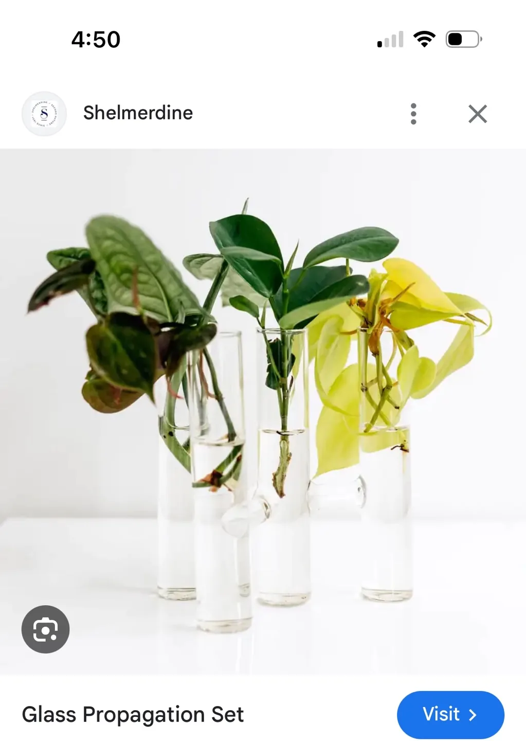 Set of 3 Glass Propagation Vases image indicator(4)