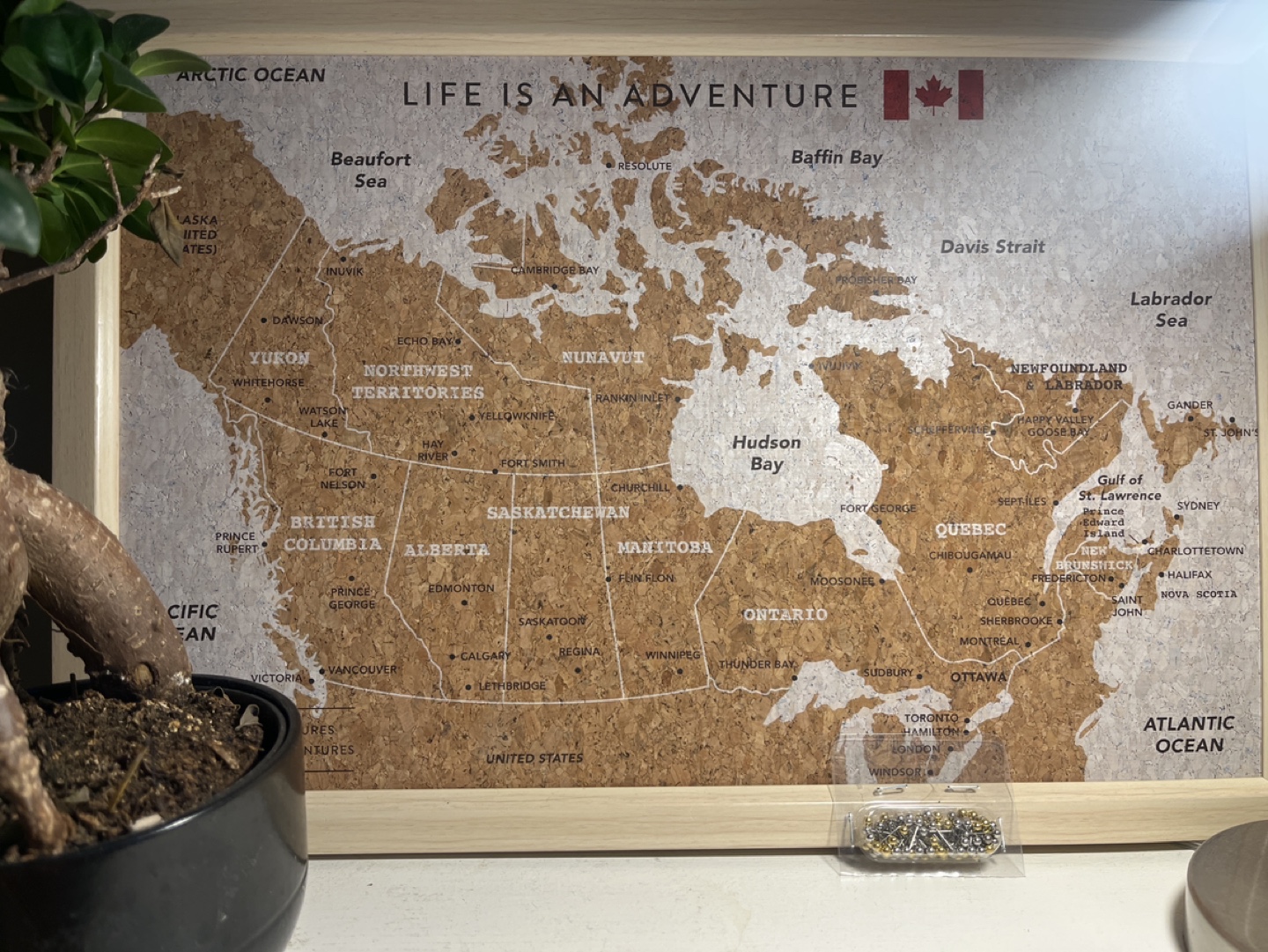 Canada Map Push Pin Board