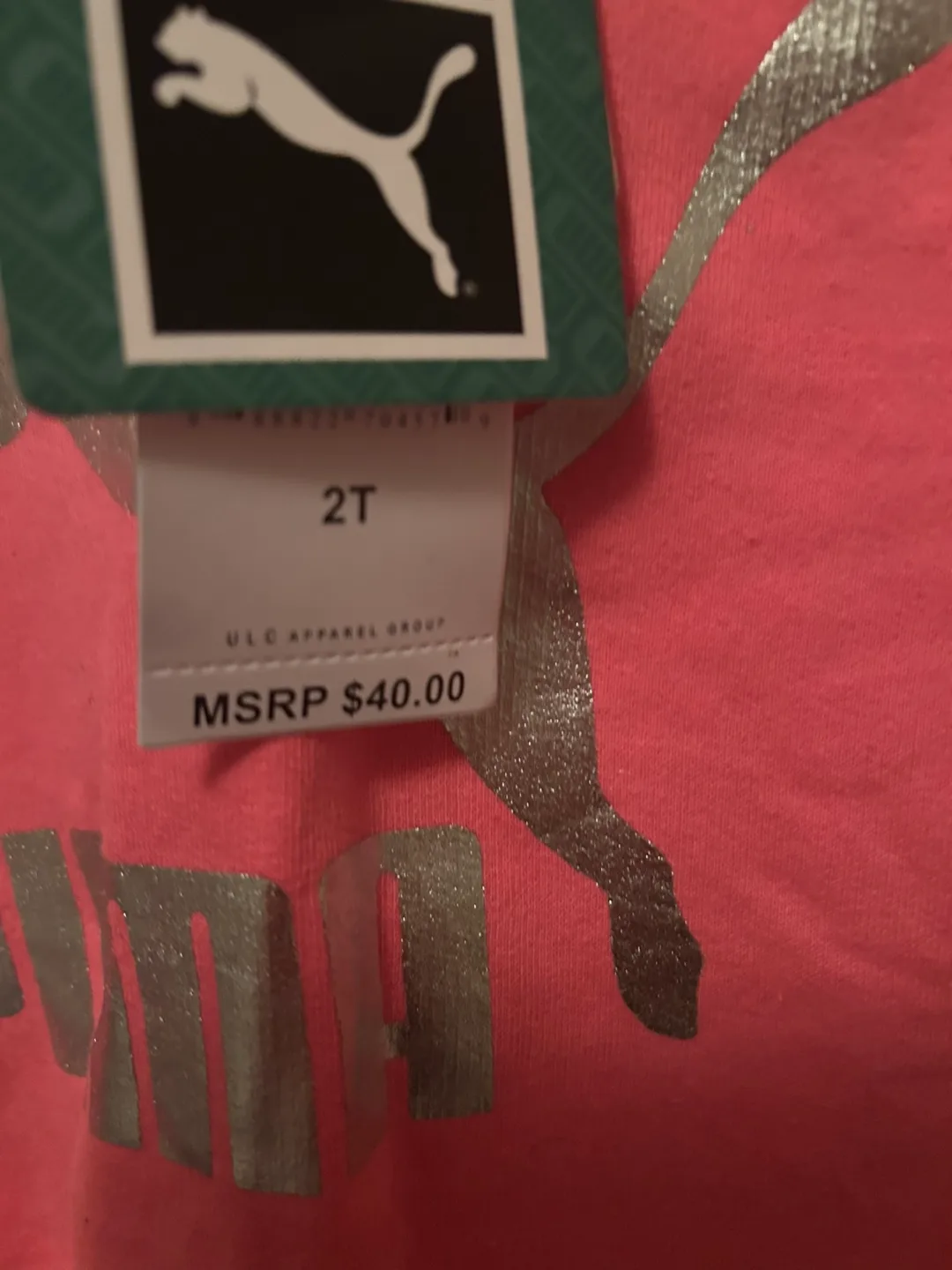 Pink Puma Girls Hoodie Size 2T image indicator(2)