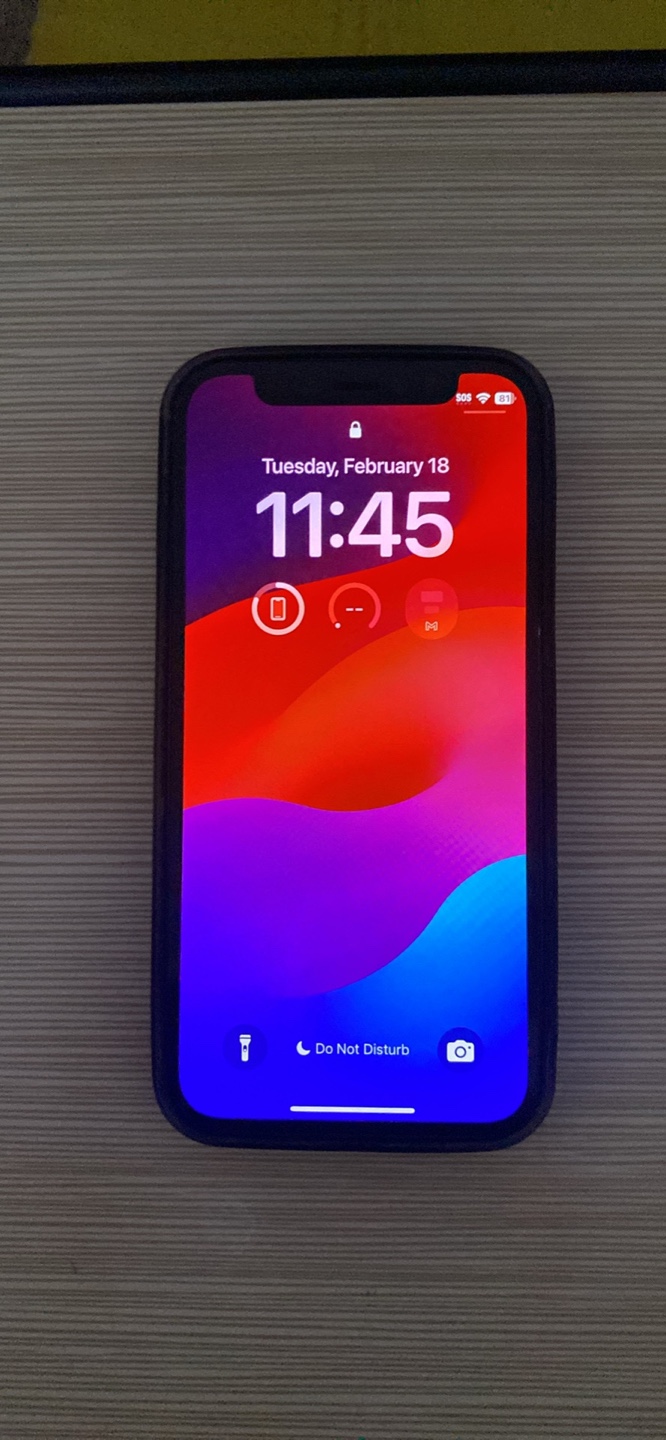 iPhone 12 Mini