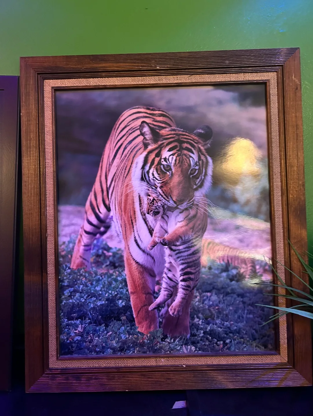 Tiger Themed Decor Bundle: Paintings, Plates & Plush image indicator(6)