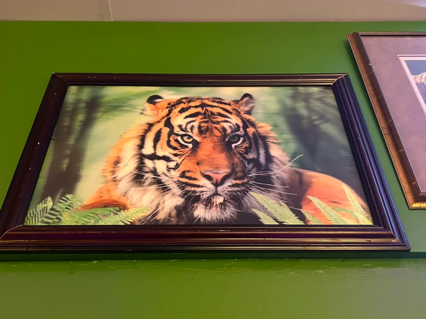 Tiger Themed Decor Bundle: Paintings, Plates & Plush image indicator(8)