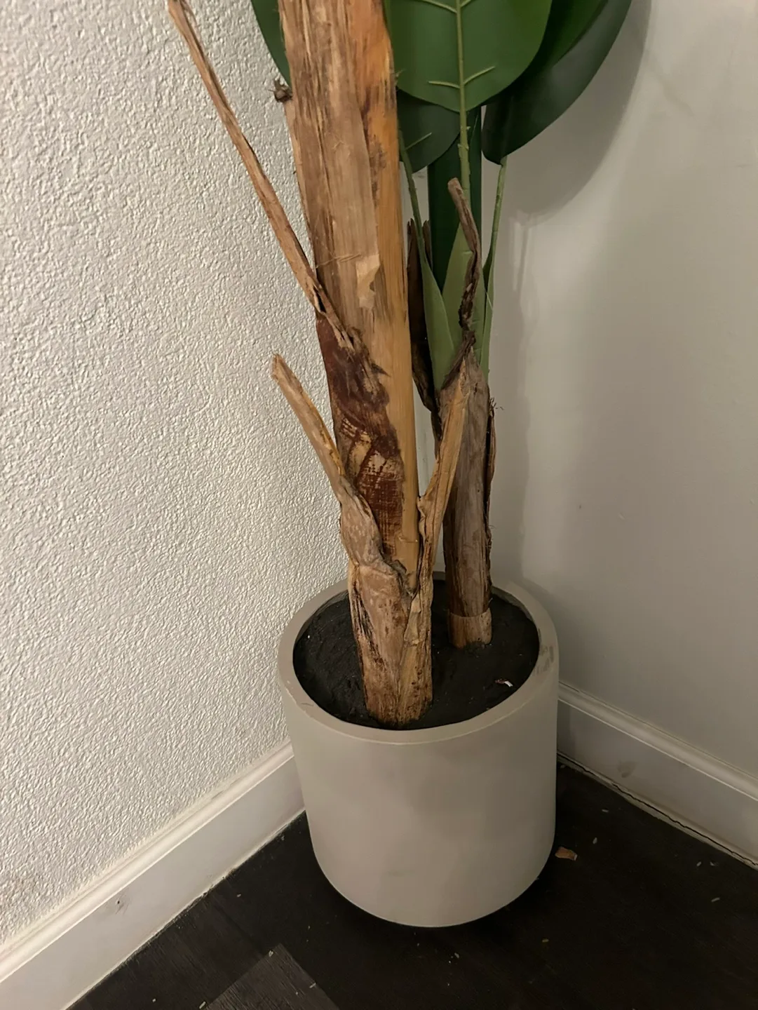 Artificial Banana Tree in Grey Pot image indicator(2)