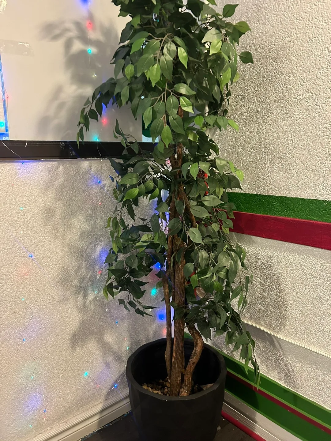 Artificial Ficus Tree in Black Pot image indicator(3)