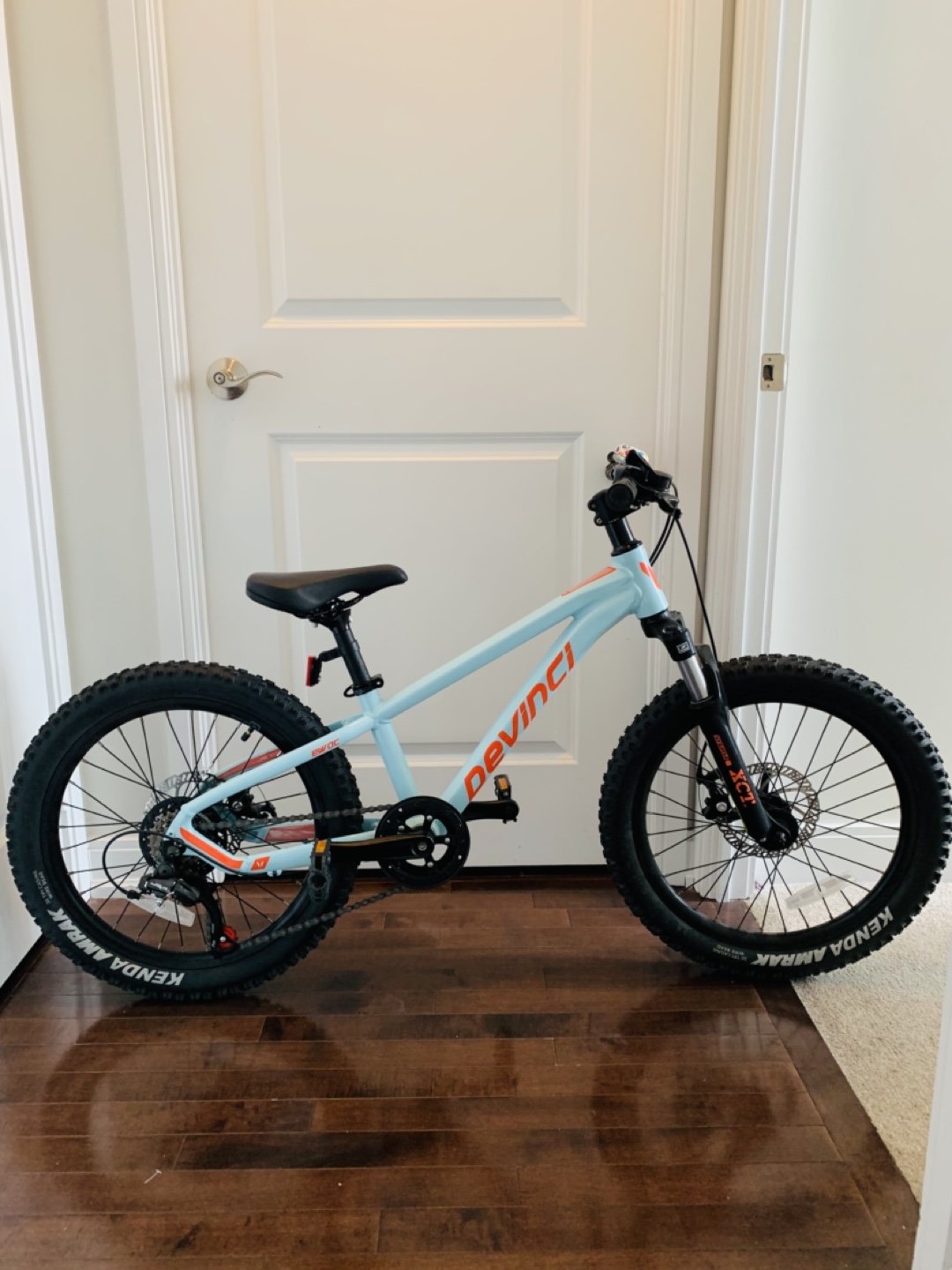 Devinci Troy 20 inch kids bike