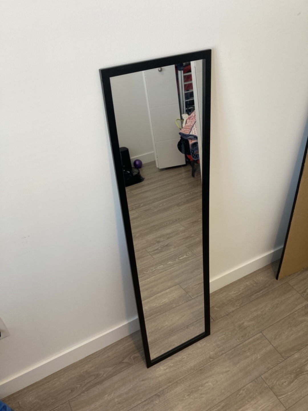 Full-Length Black Frame Mirror
