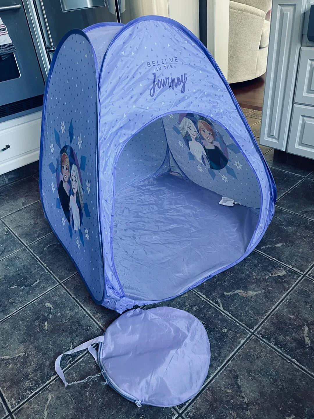 Frozen Play Tent for Kids thumbnail