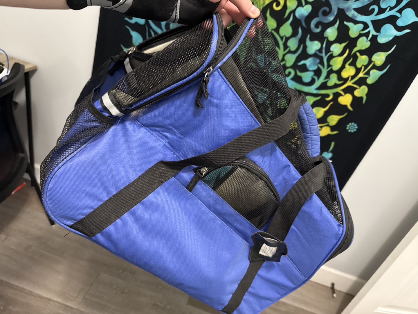 Pet Carrier Bag