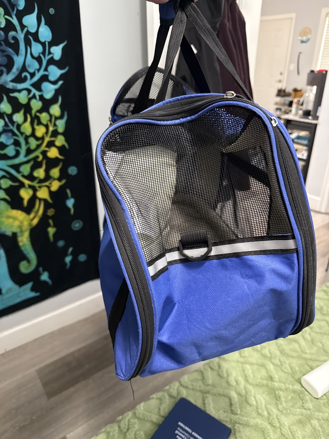 Pet Carrier Bag - photo 4