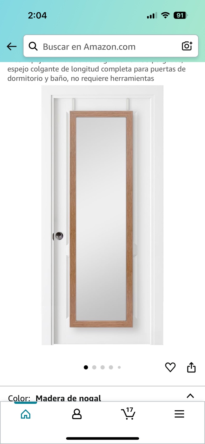 Full Length Over-the-Door Mirror