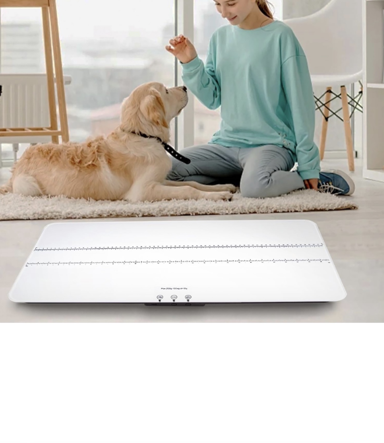 Digital Pet Scale - Large LED Platform Scale - photo 2