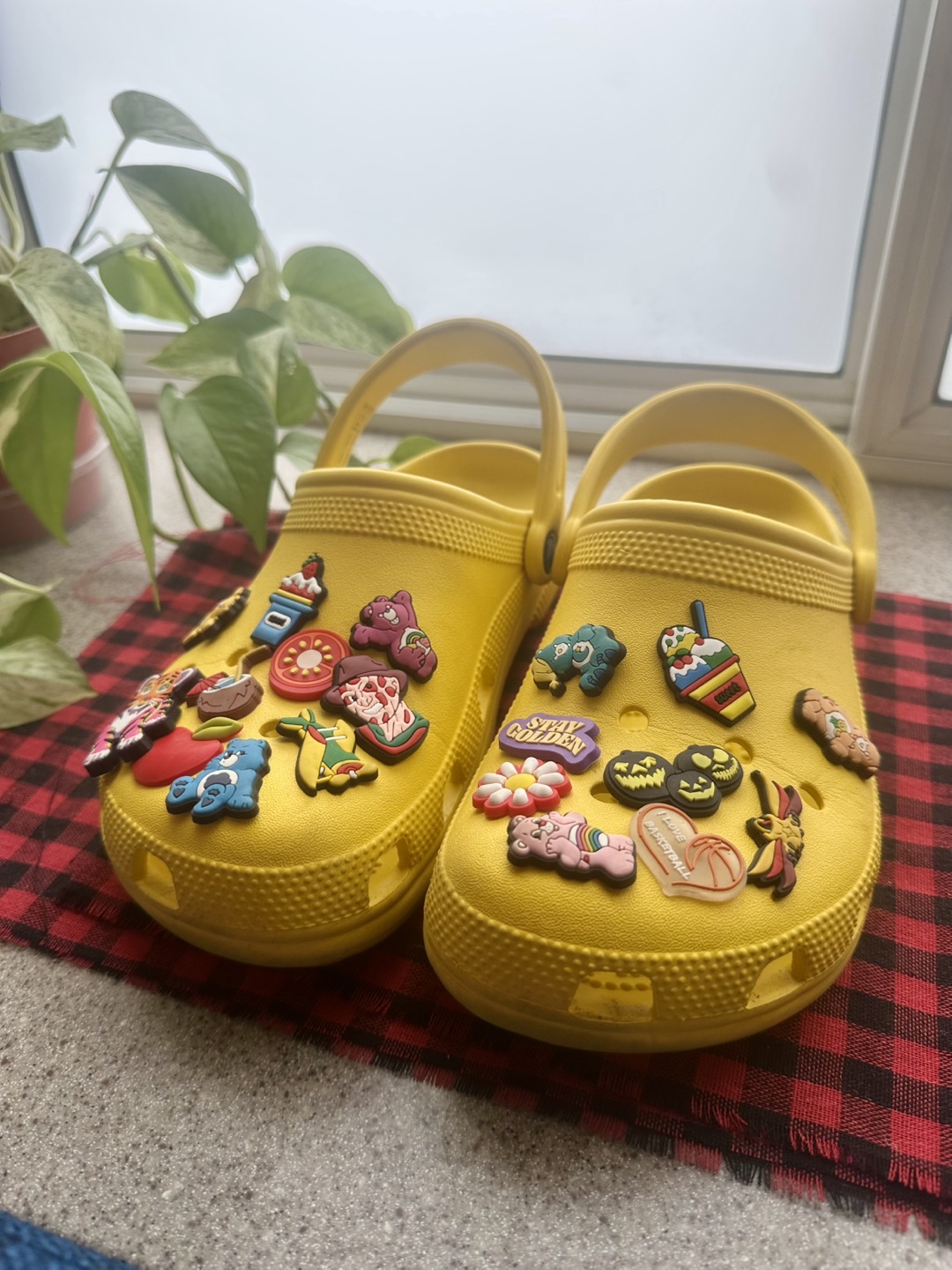 Yellow Crocs + Jibbits