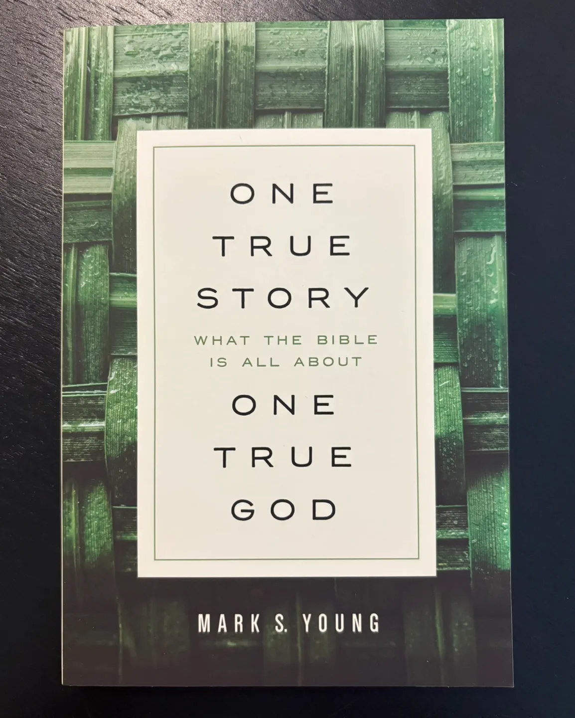 One True Story:  One True God by Mark S. Young image indicator(2)