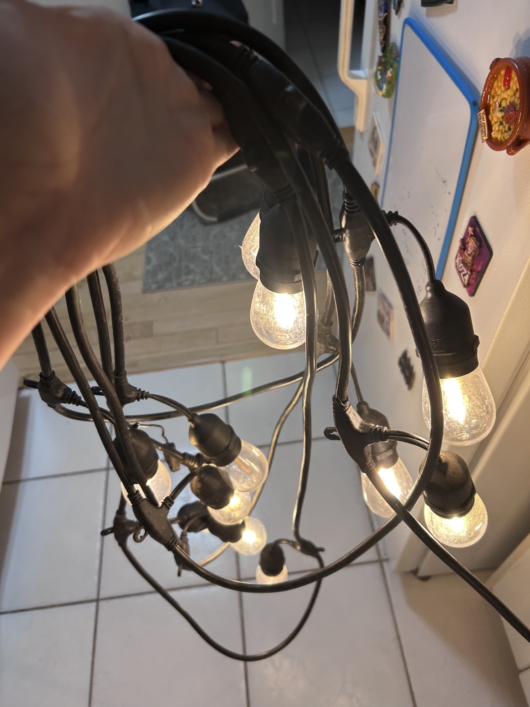 String of Edison Bulb Lights