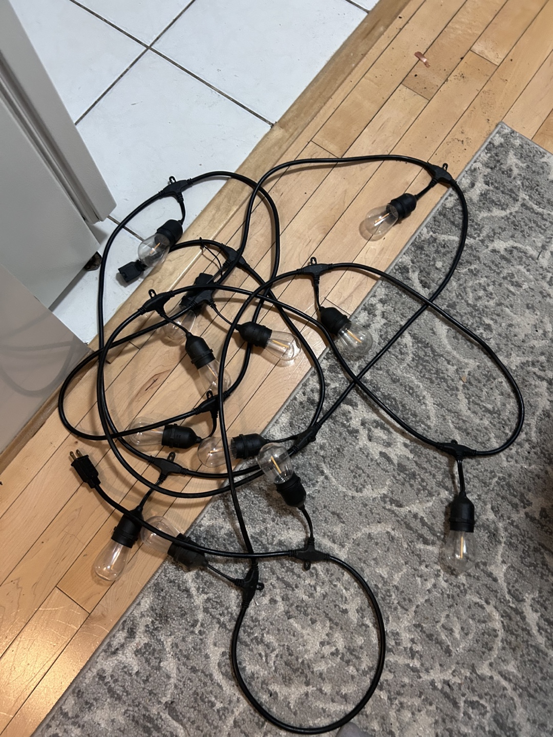 String of Edison Bulb Lights - photo 4