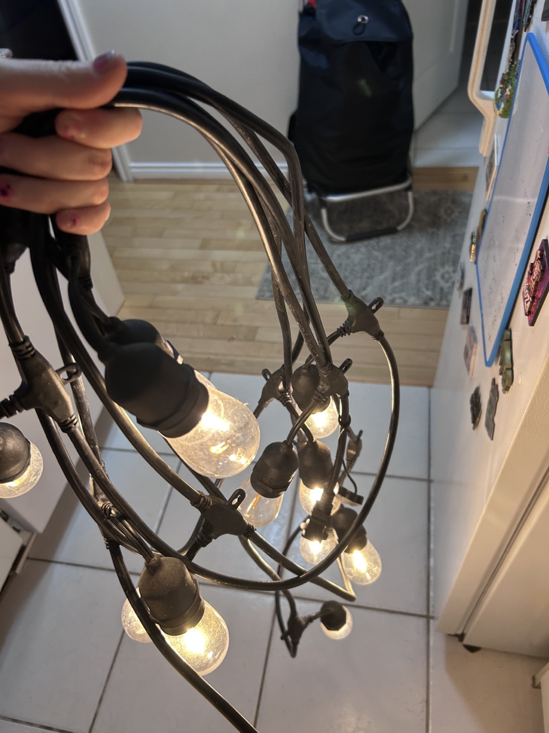 String of Edison Bulb Lights - photo 2