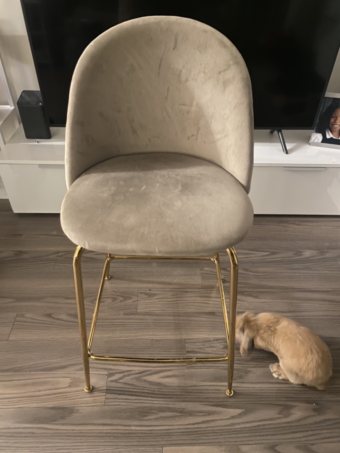 Beige Velvet Chair with Gold Legs