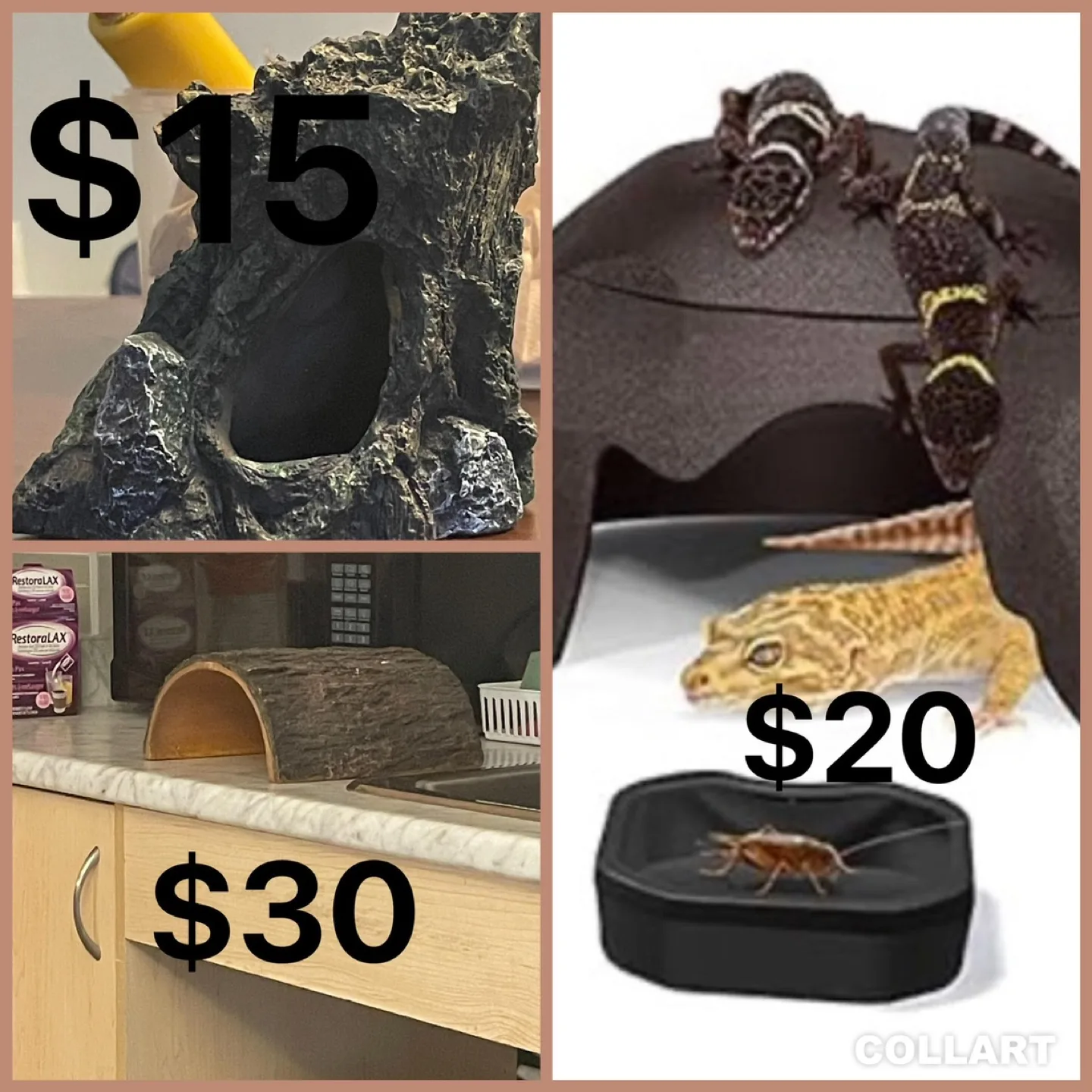 Reptile tank ➕Cave /Hides image indicator(4)