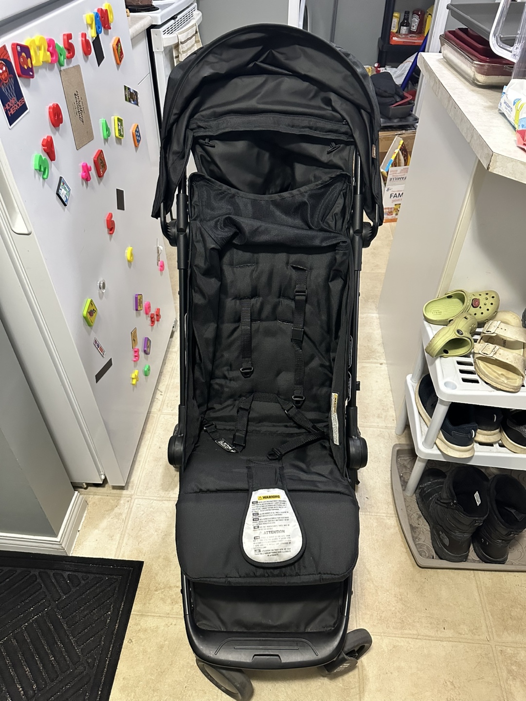 Mountain Buggy Nano