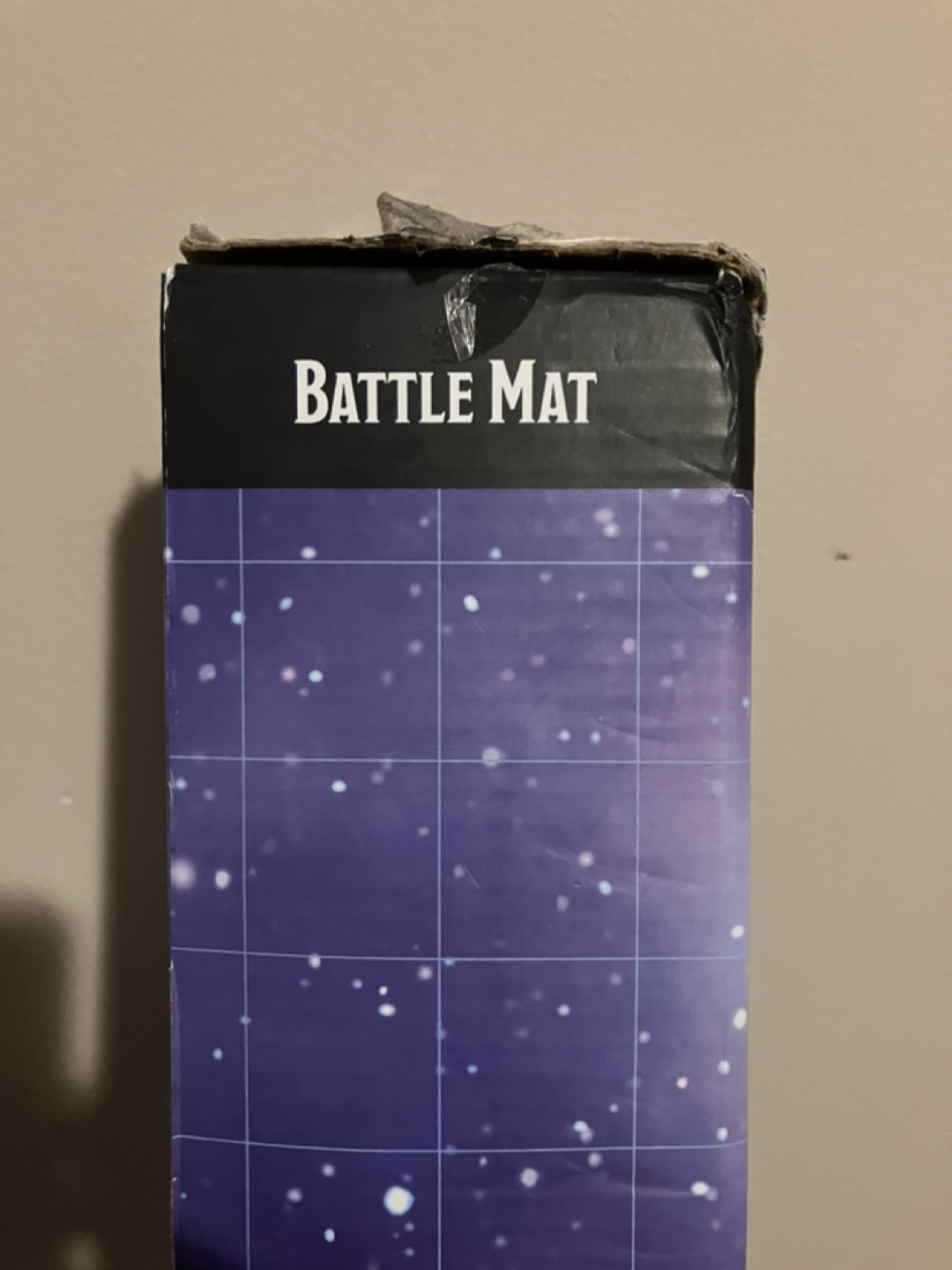 Dungeons & Dragons Battle Mat