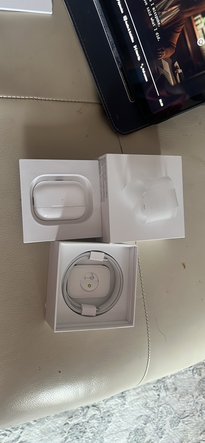 Apple AirPods Pro 2 (Bought - 10/02/2025)