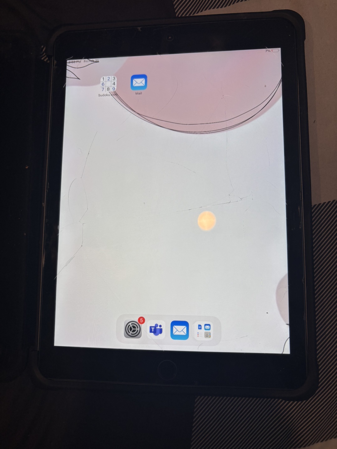 iPad Case and iPad
