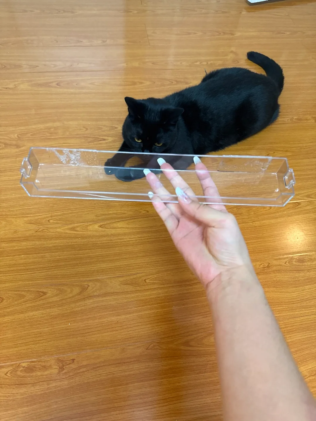 Clear Acrylic Tray #freecycle thumbnail