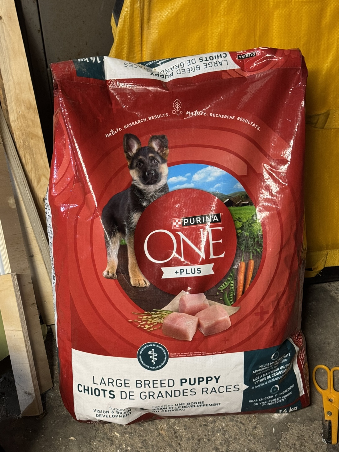Purina ONE Plus Large Breed Puppy Food