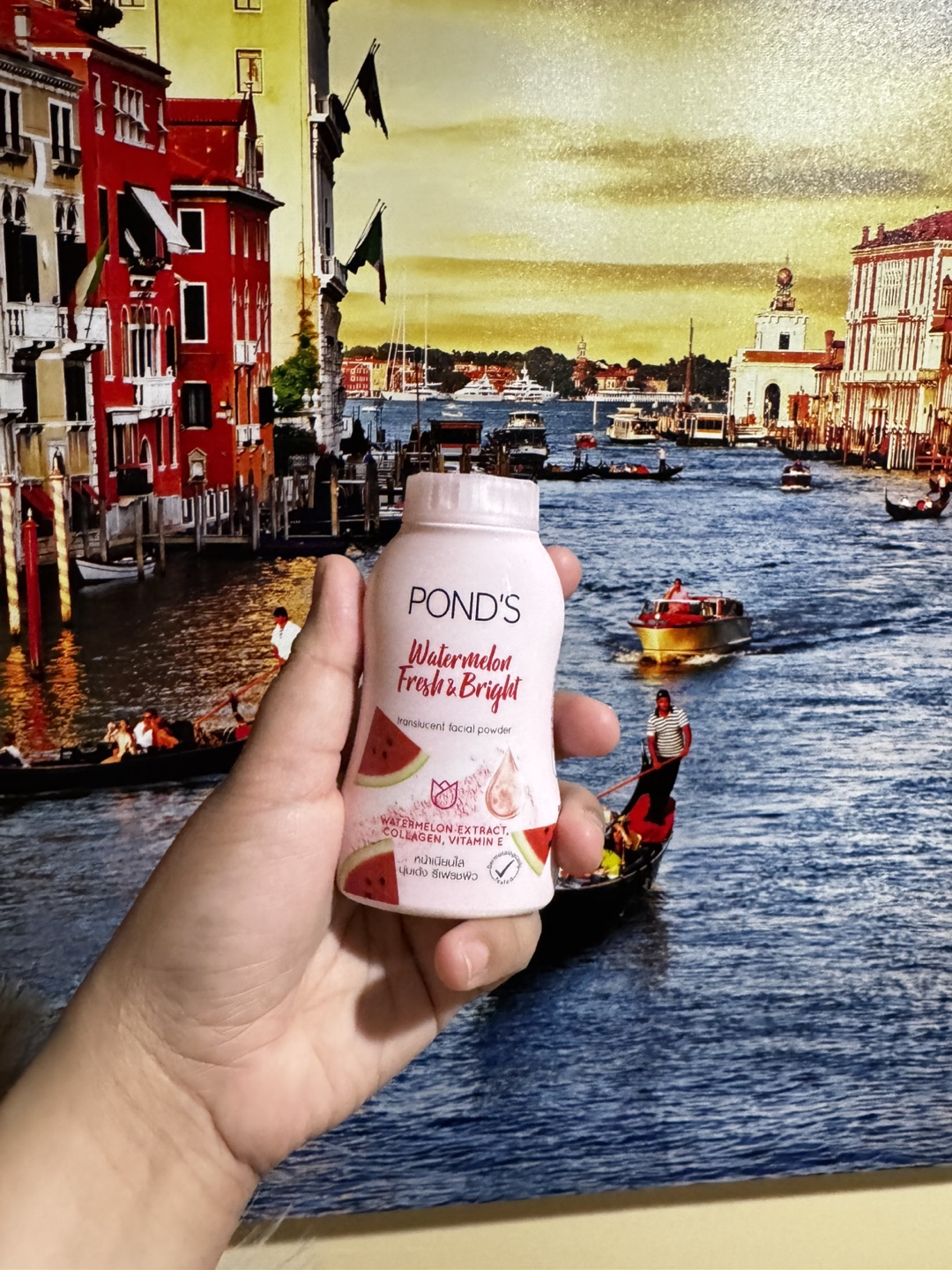 POND'S Translucent Facial Powder Set (4 Variants)