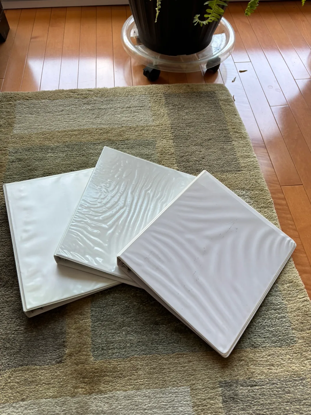 #Freecycle 3 ring 1 inch white binders thumbnail