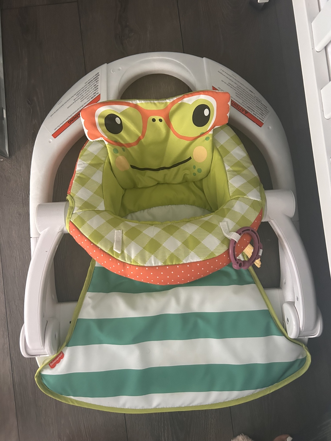 Fisher-Price Frog Sit-Me-Up Floor Seat