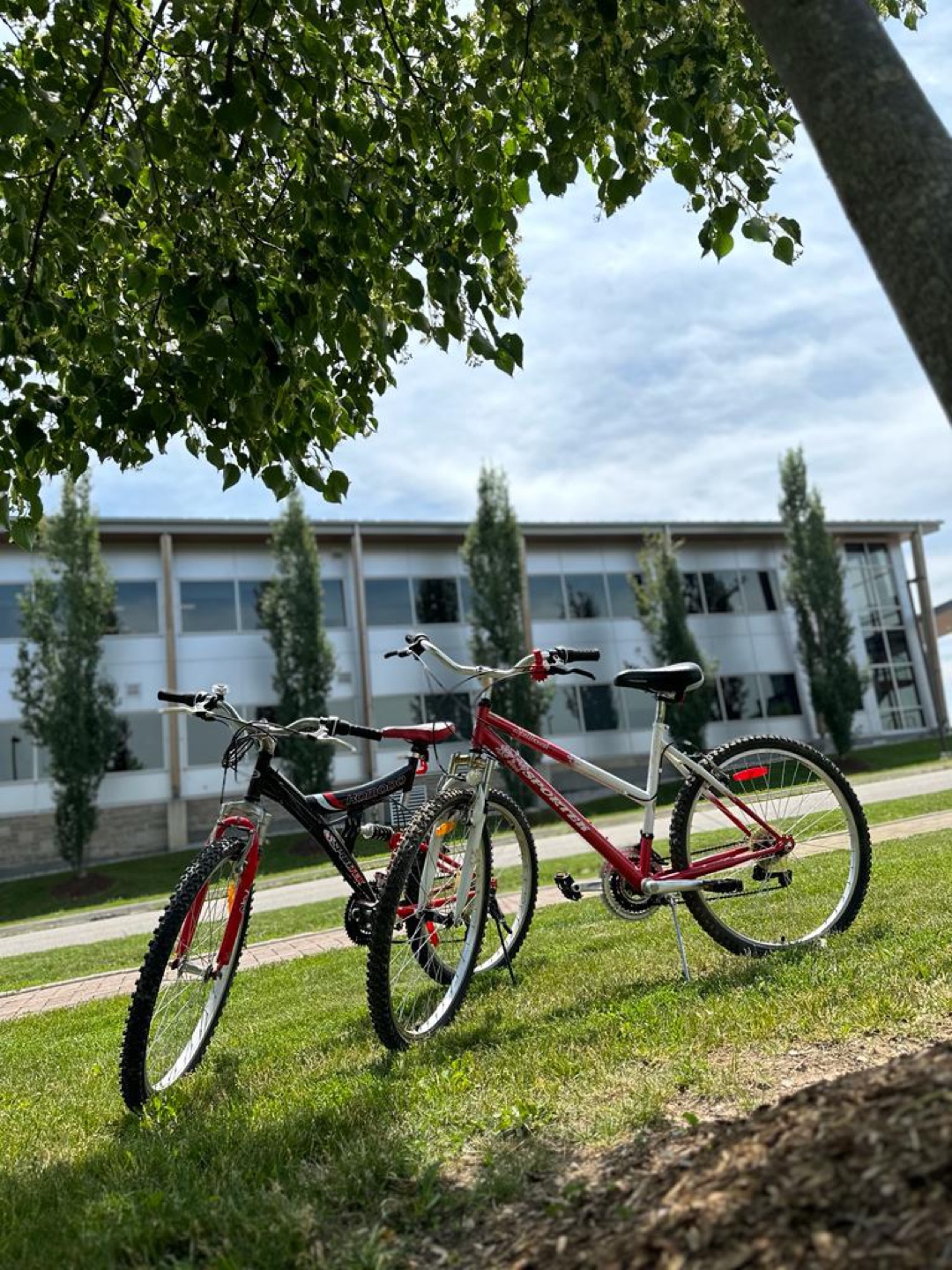 Two Used Bikes