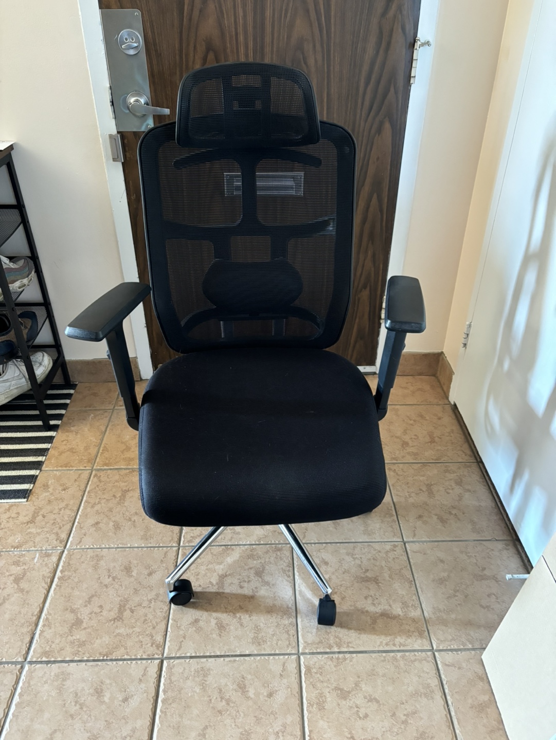 Ergonomic Mesh Office Chair with Headrest