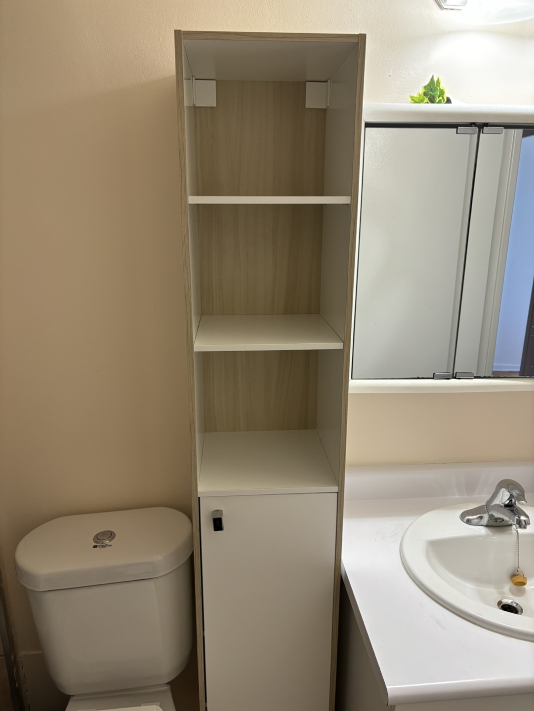 Tall Bathroom Storage Cabinet