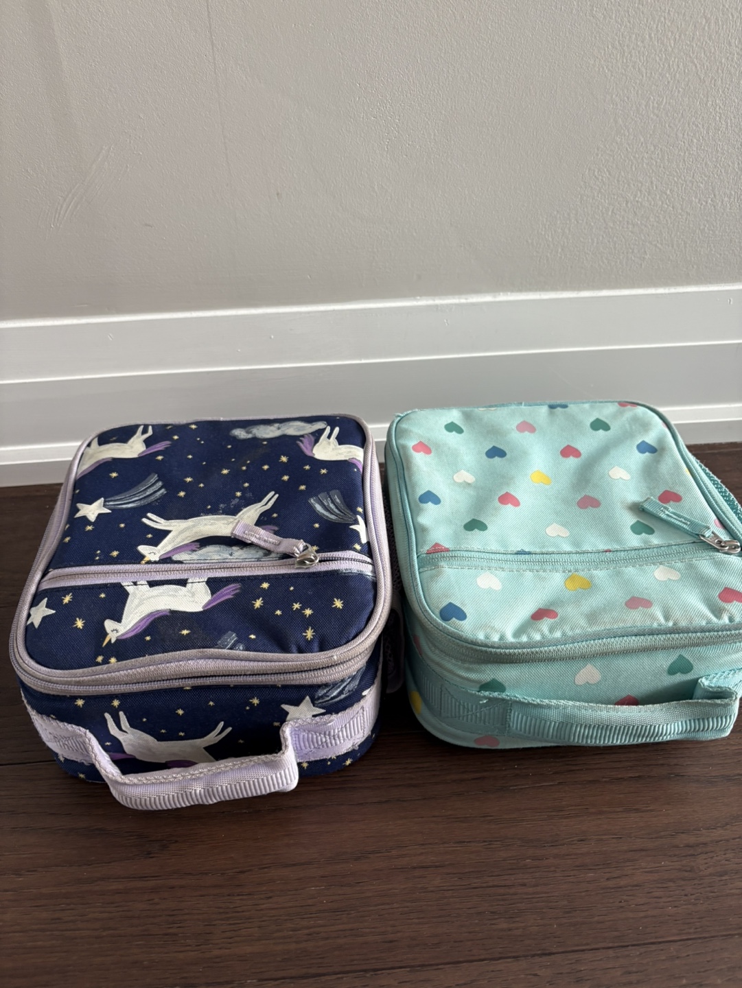 Two Insulated Lunch Bags #freecycle