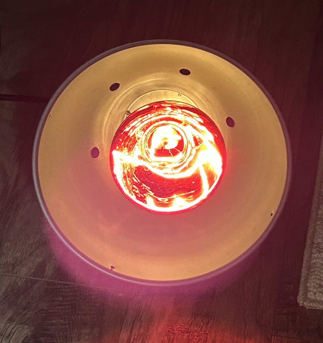 Canarm Infrared Heat Lamp - photo 4