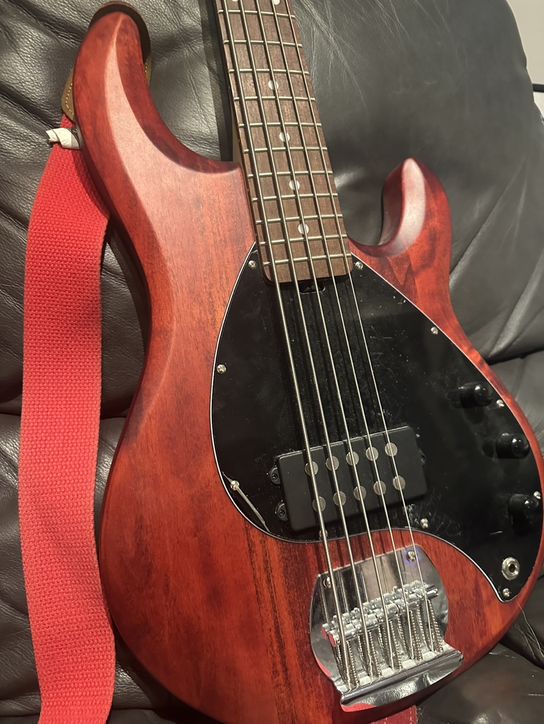Stingray 5 string bass