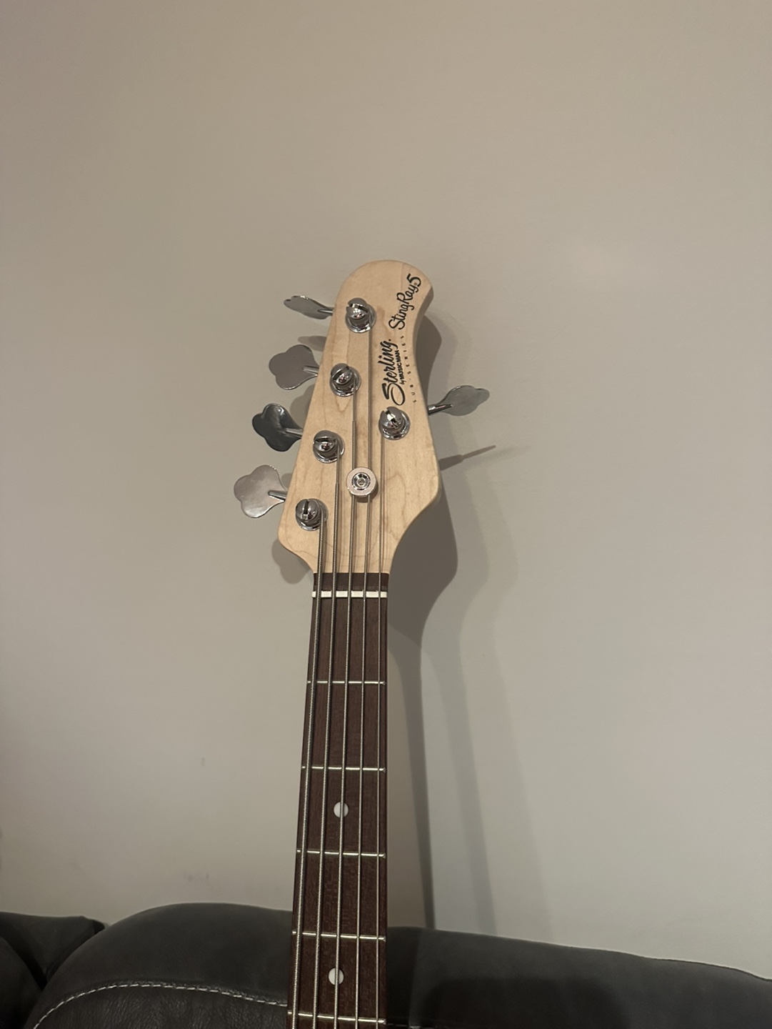 Stingray 5 string bass - photo 4