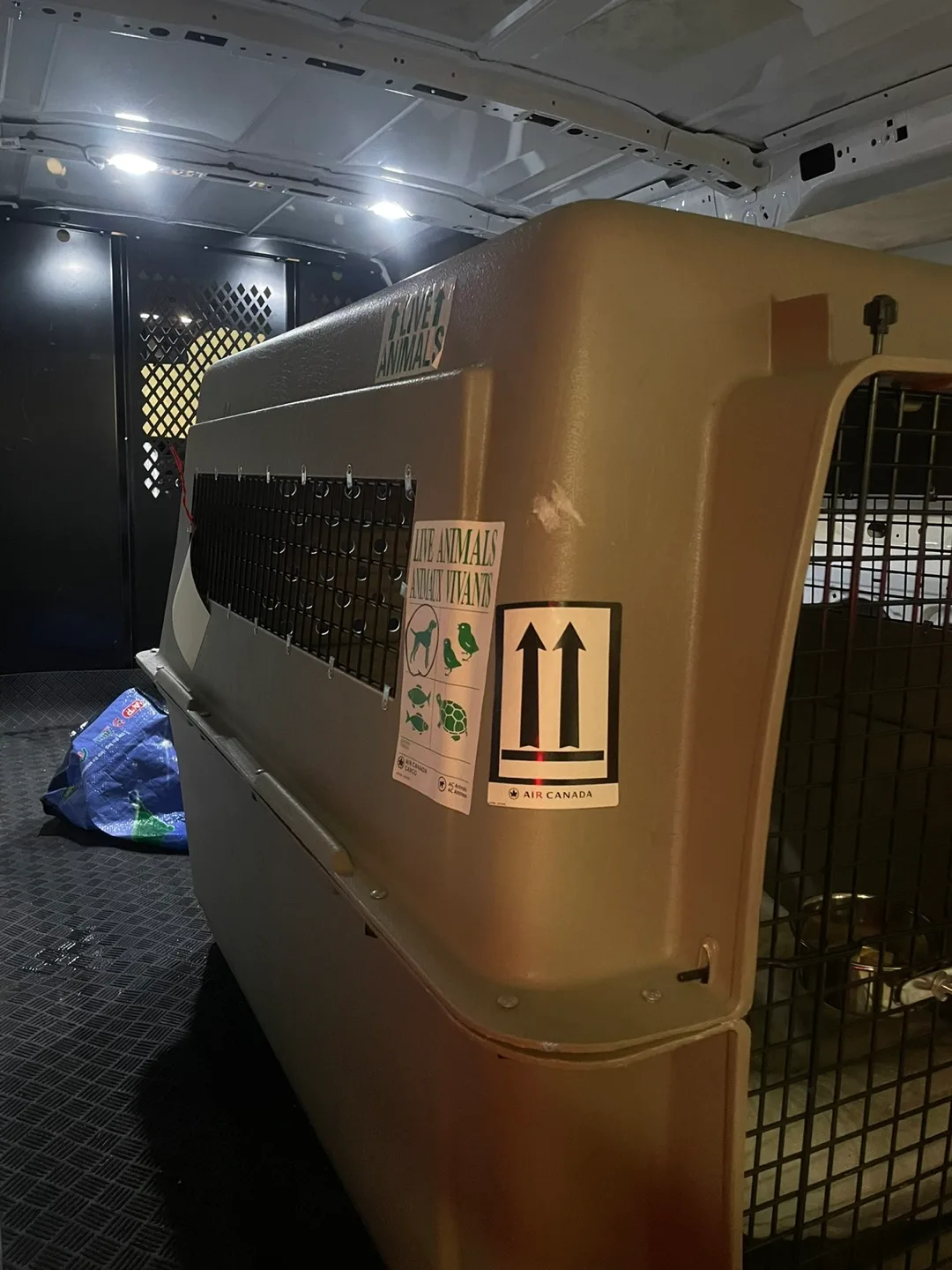 Large Dog Carrier/Kennel/Travel Crate:Airline Approved image indicator(5)