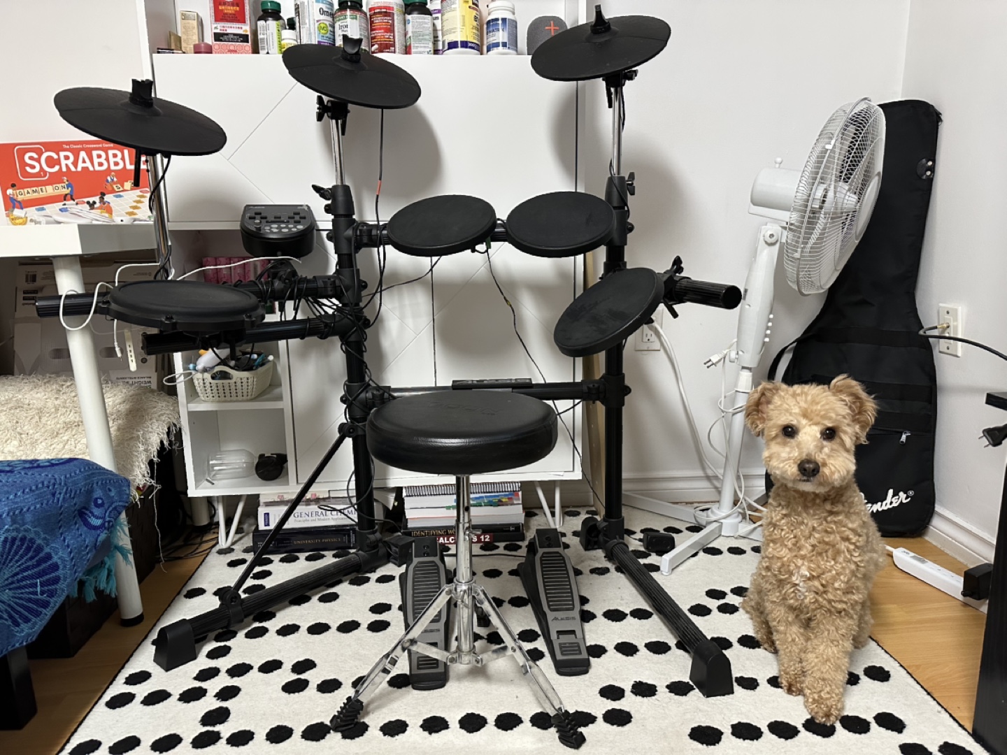 Alesis DM6 Electronic Drum Kit