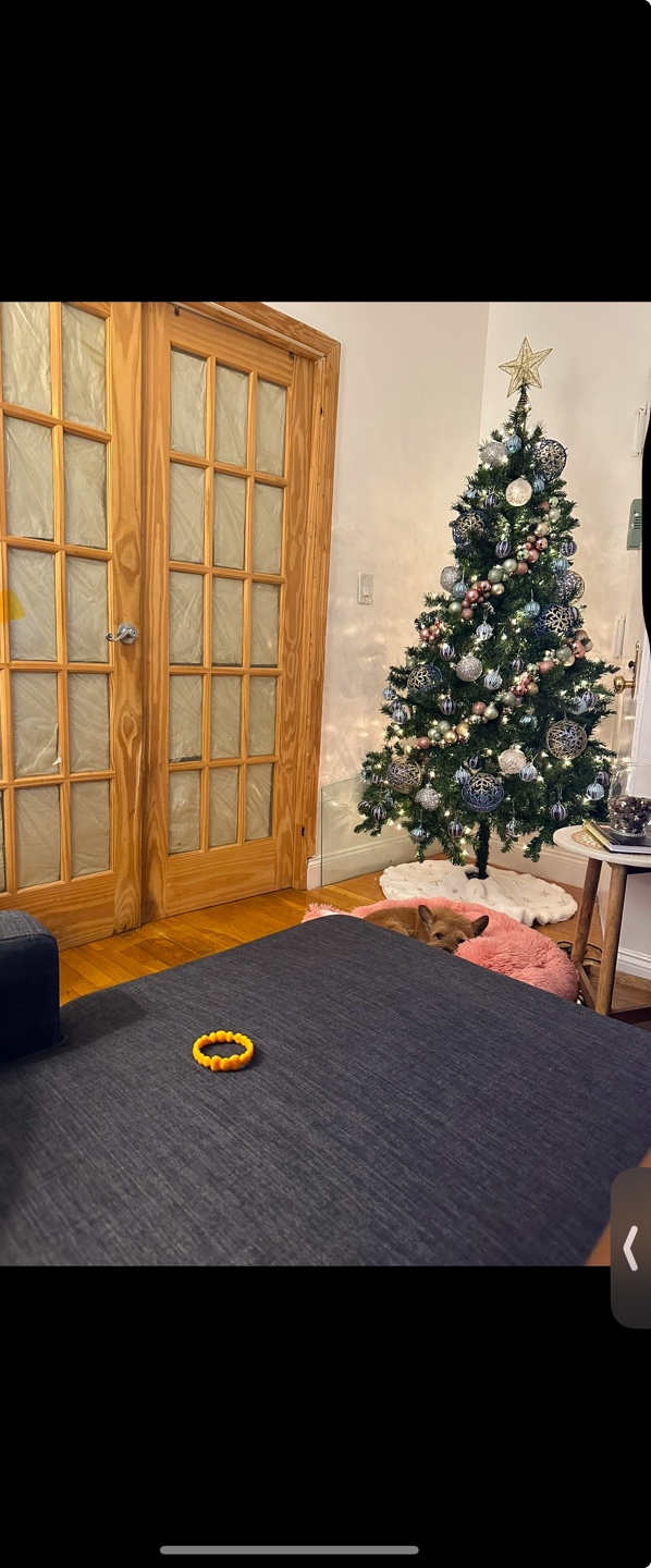 Christmas tree for sale - photo 3