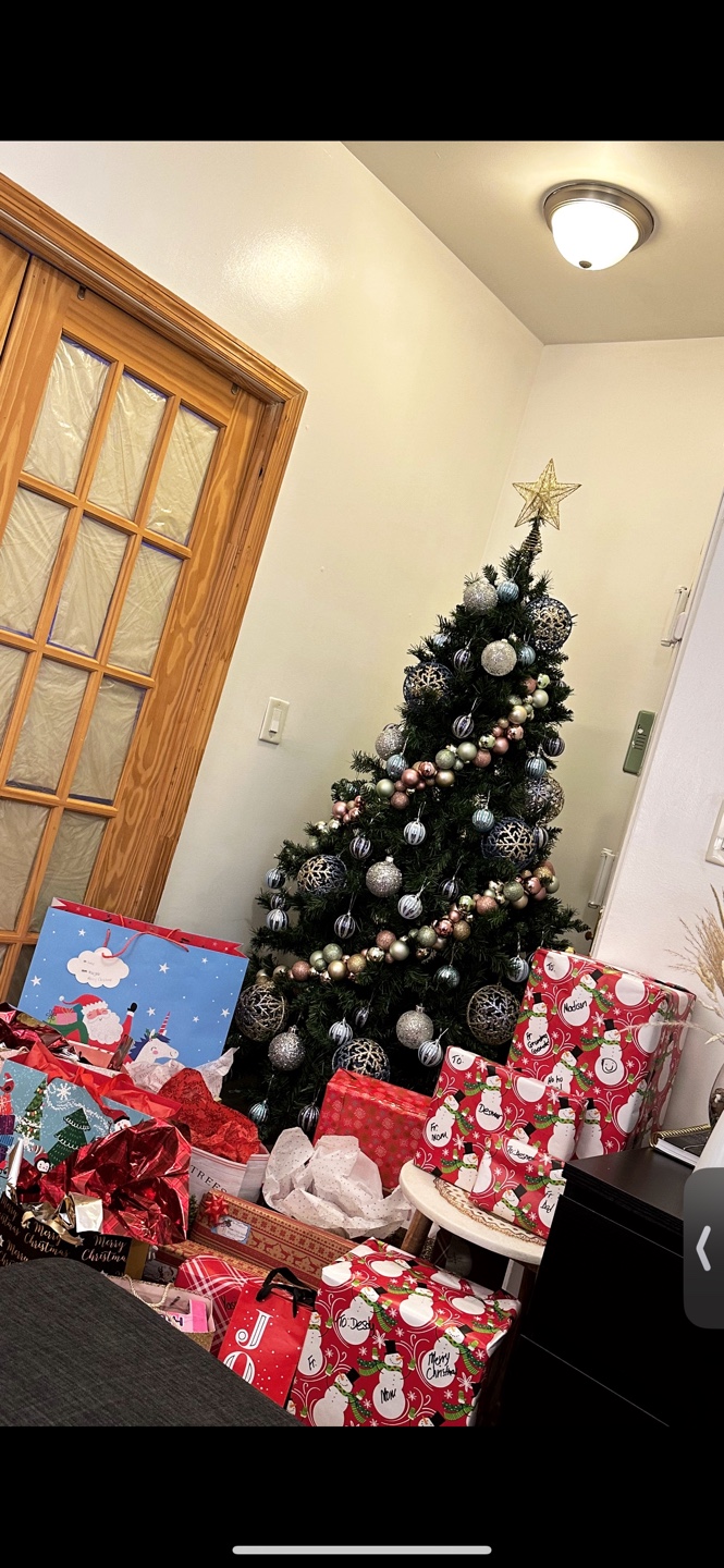 Christmas tree for sale