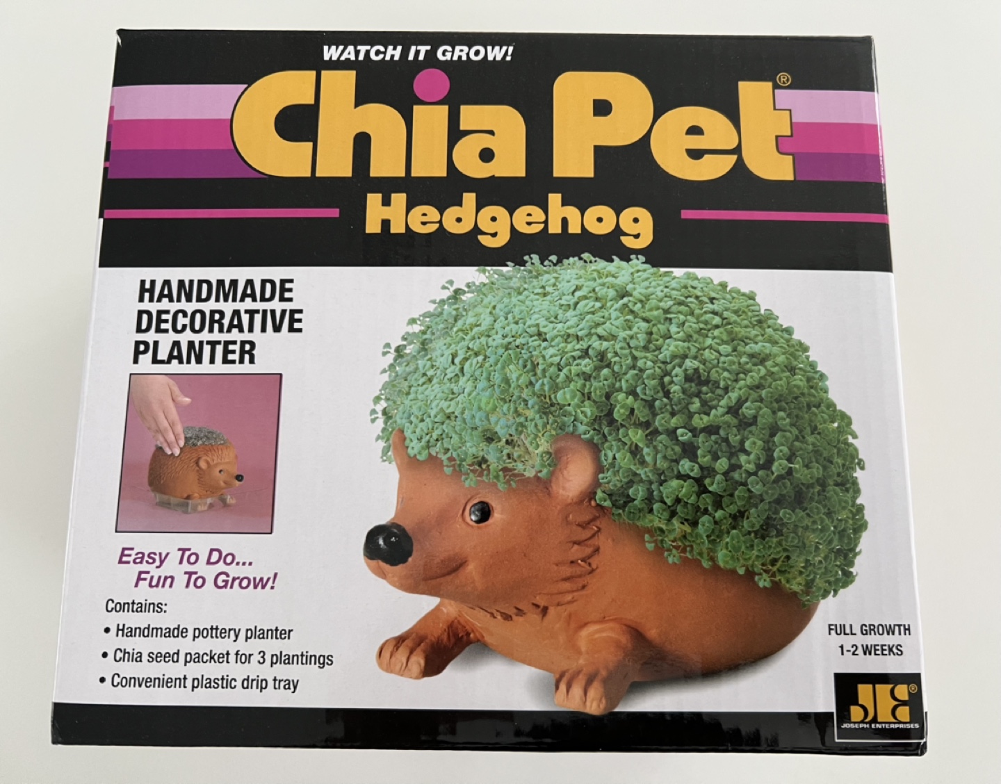 Chia Pet Hedgehog Planter