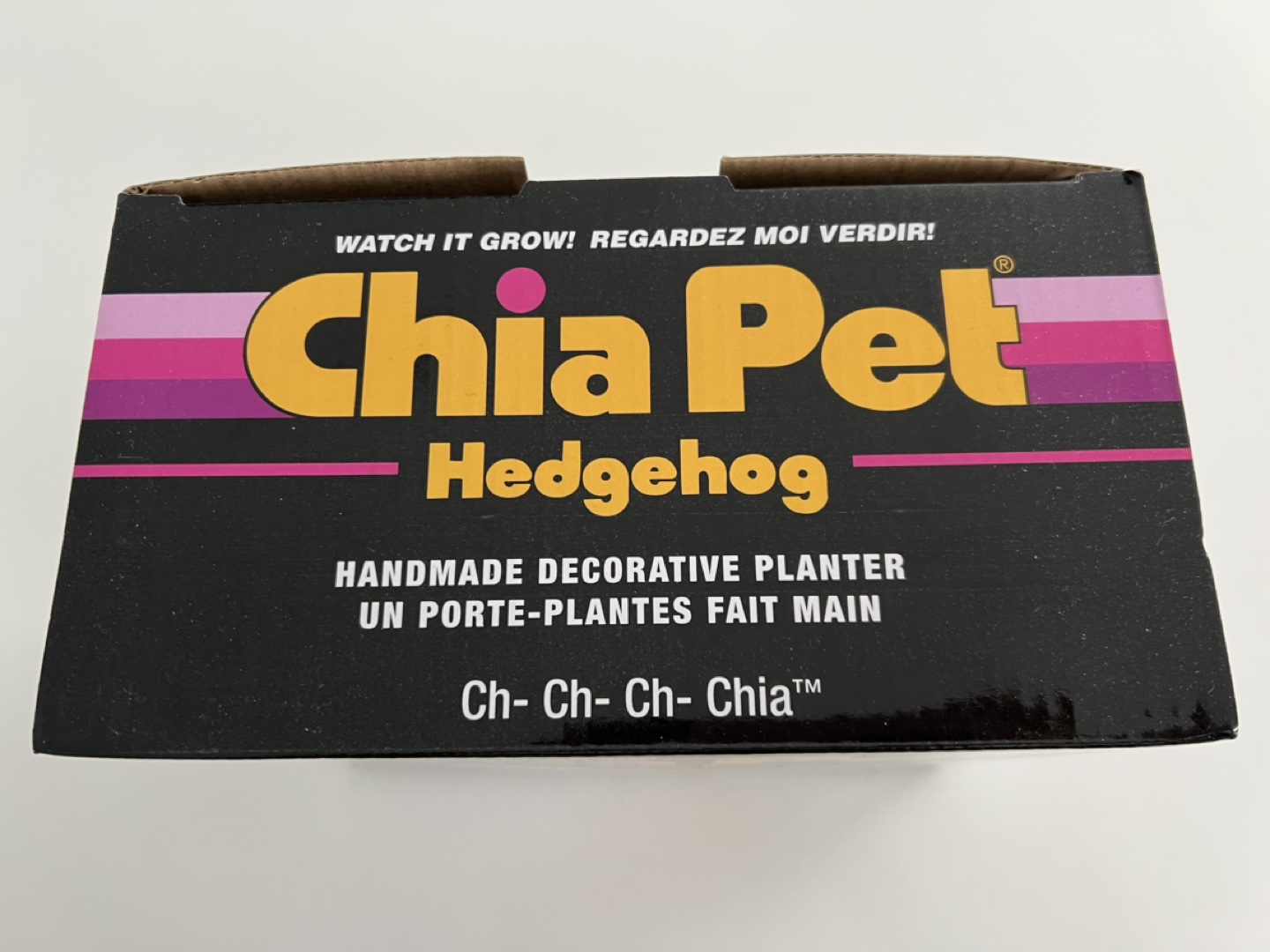 Chia Pet Hedgehog Planter - photo 2