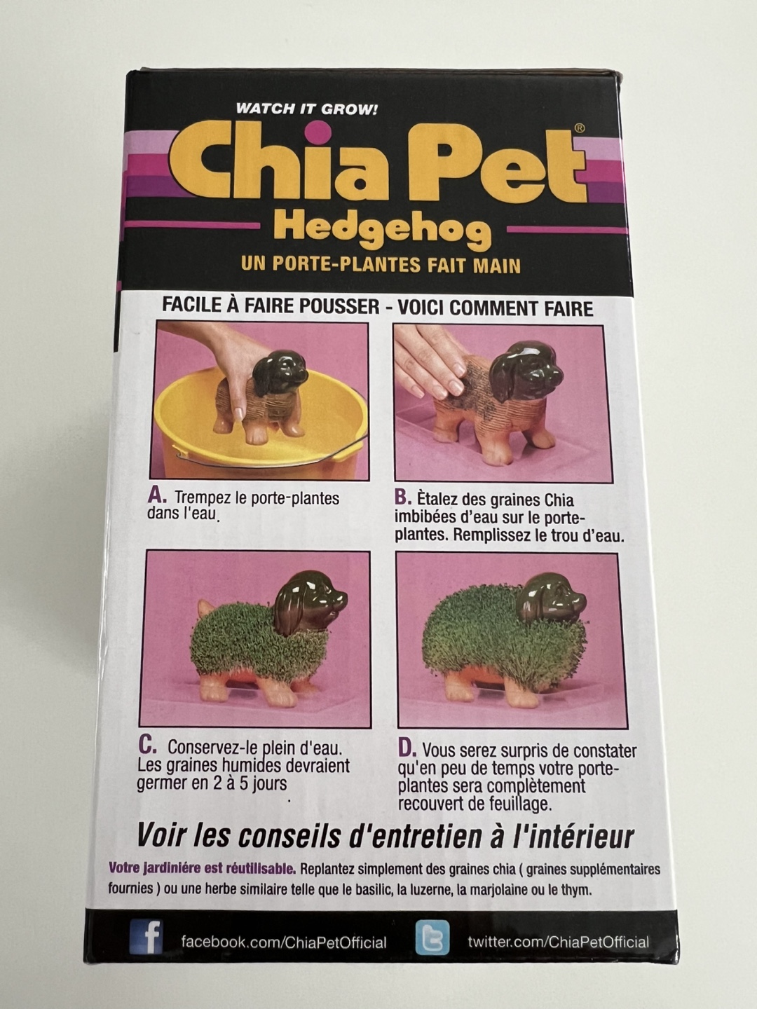 Chia Pet Hedgehog Planter - photo 3